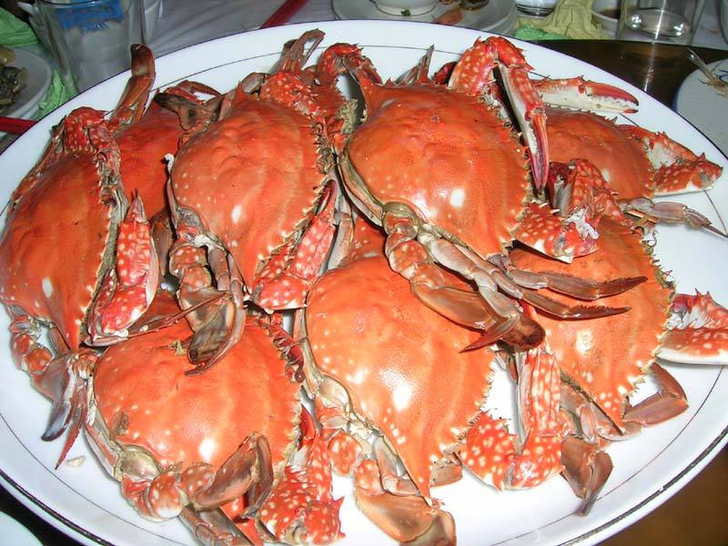 如东美食15个镇区都有哪些美食