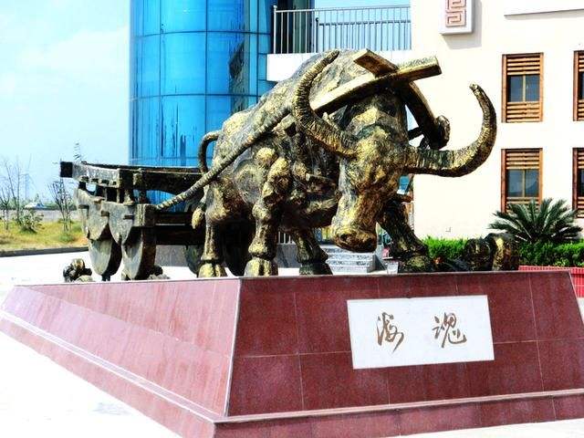 聊聊如东的海子牛