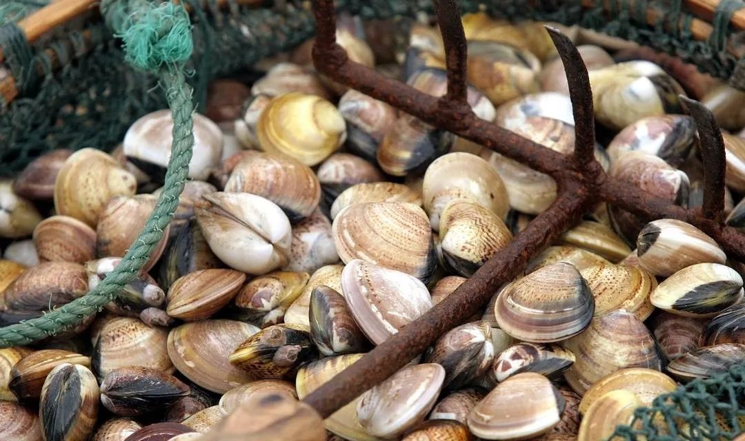 如东话版《可能》，新鲜出炉！