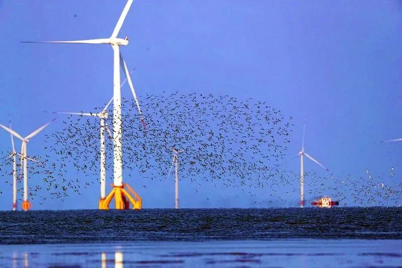 如东话版《可能》，新鲜出炉！