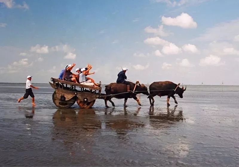 如东话版《可能》，新鲜出炉！