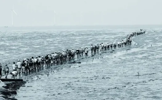 如东南黄海,我的生命之海