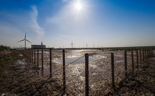 五一哪儿玩如东小洋口风景区