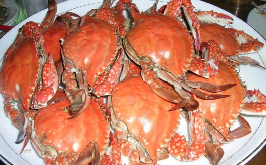 如东美食15个镇区都有哪些美食