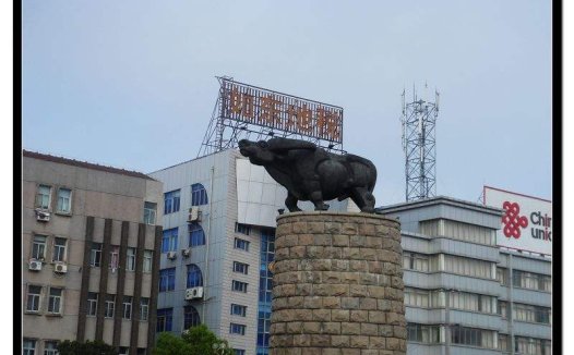 聊聊如东的海子牛